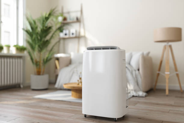 Best Energy-efficient HVAC Solutions in Mogul, NV